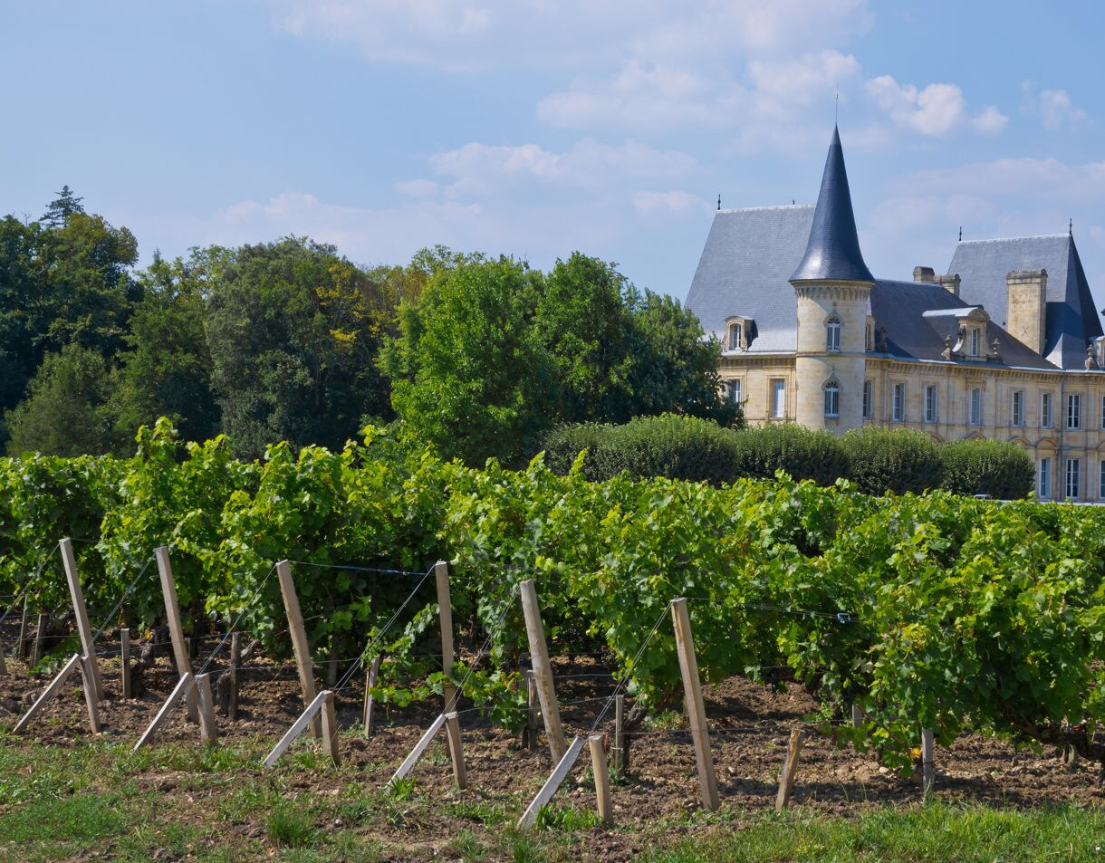 A grand French château with tall slate spires sits behind rows of lush green grapevines on a sunny day, surrounded by dense trees and blue sky.