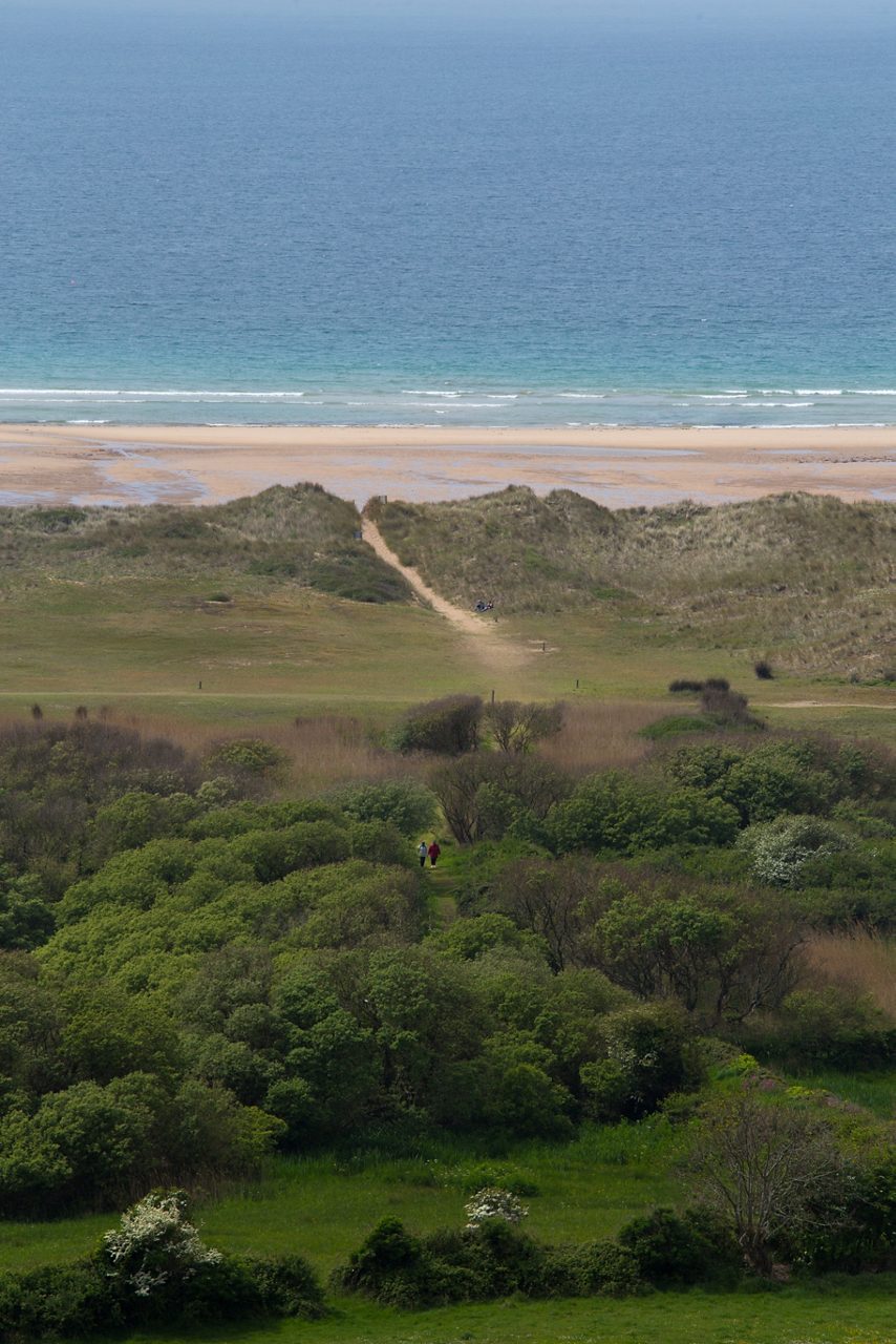 Vertical view of a sandy trail leading through grassy dunes to Omaha Beach with the Atlantic Ocean beyond, framed by lush green foliage in the foreground.