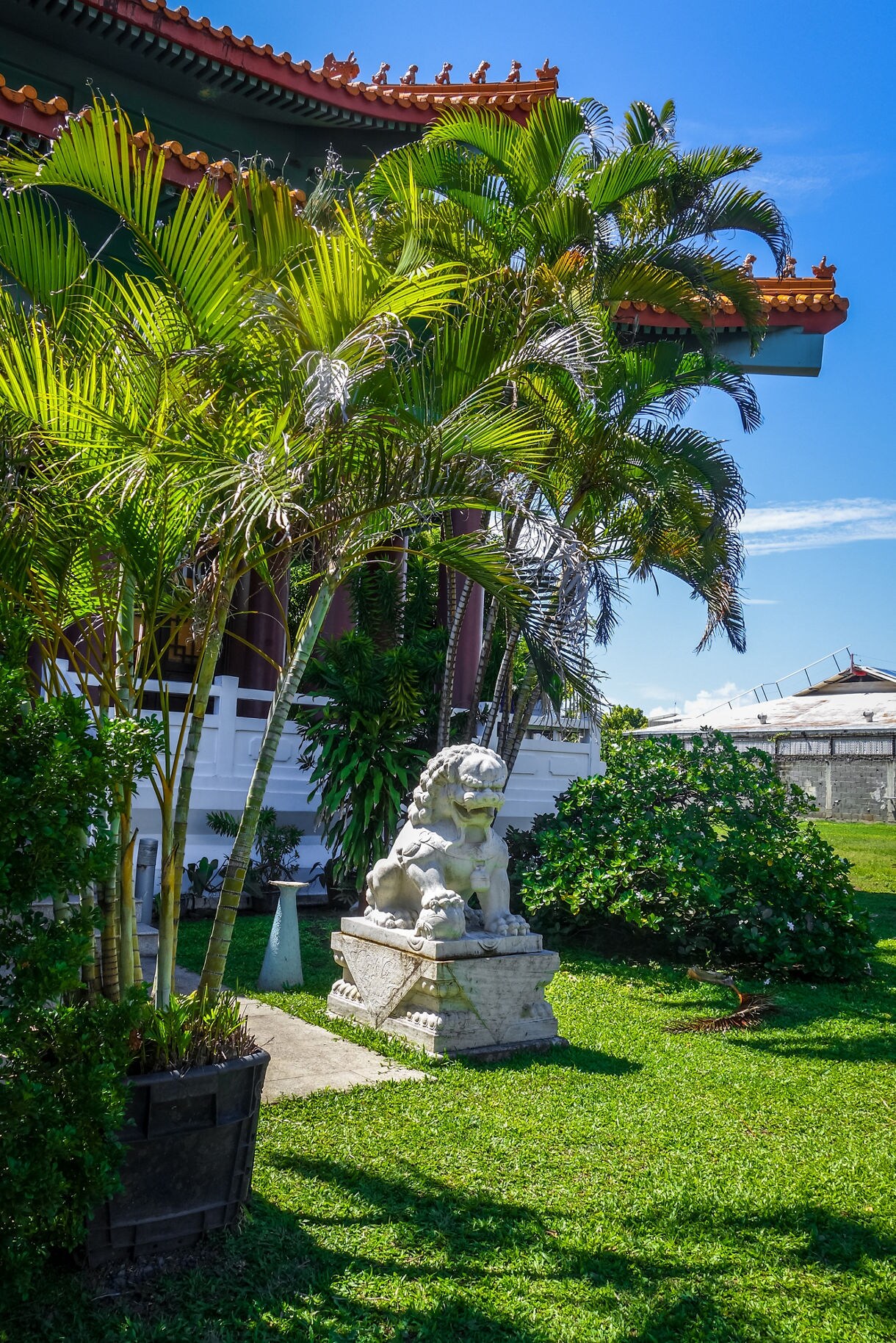 Stone guardian lion statue set on a pedestal beside lush palms and manicured lawn outside a Chinese temple with red and green roof details.
