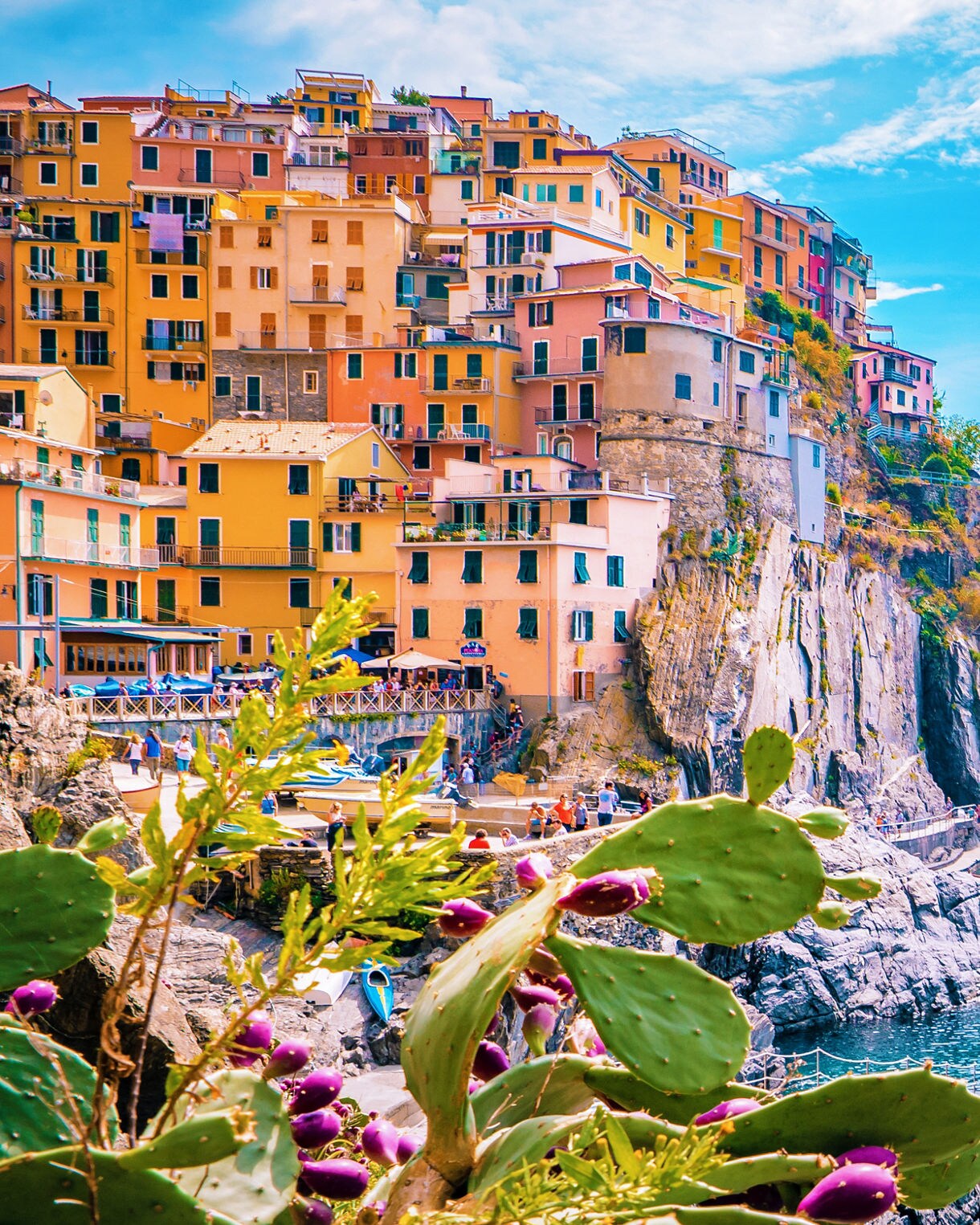 A cluster of colorful buildings perched on steep cliffs above clear blue sea, with rocky coves, a small harbor and cactus plants in the foreground under a sunny sky.