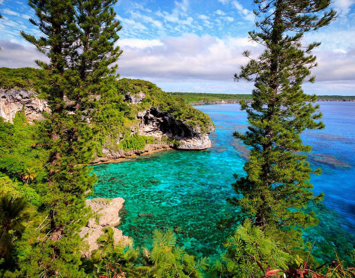 Elevated view of turquoise reef waters below steep green cliffs on Lifou, framed by tall pine trees and dense tropical foliage.