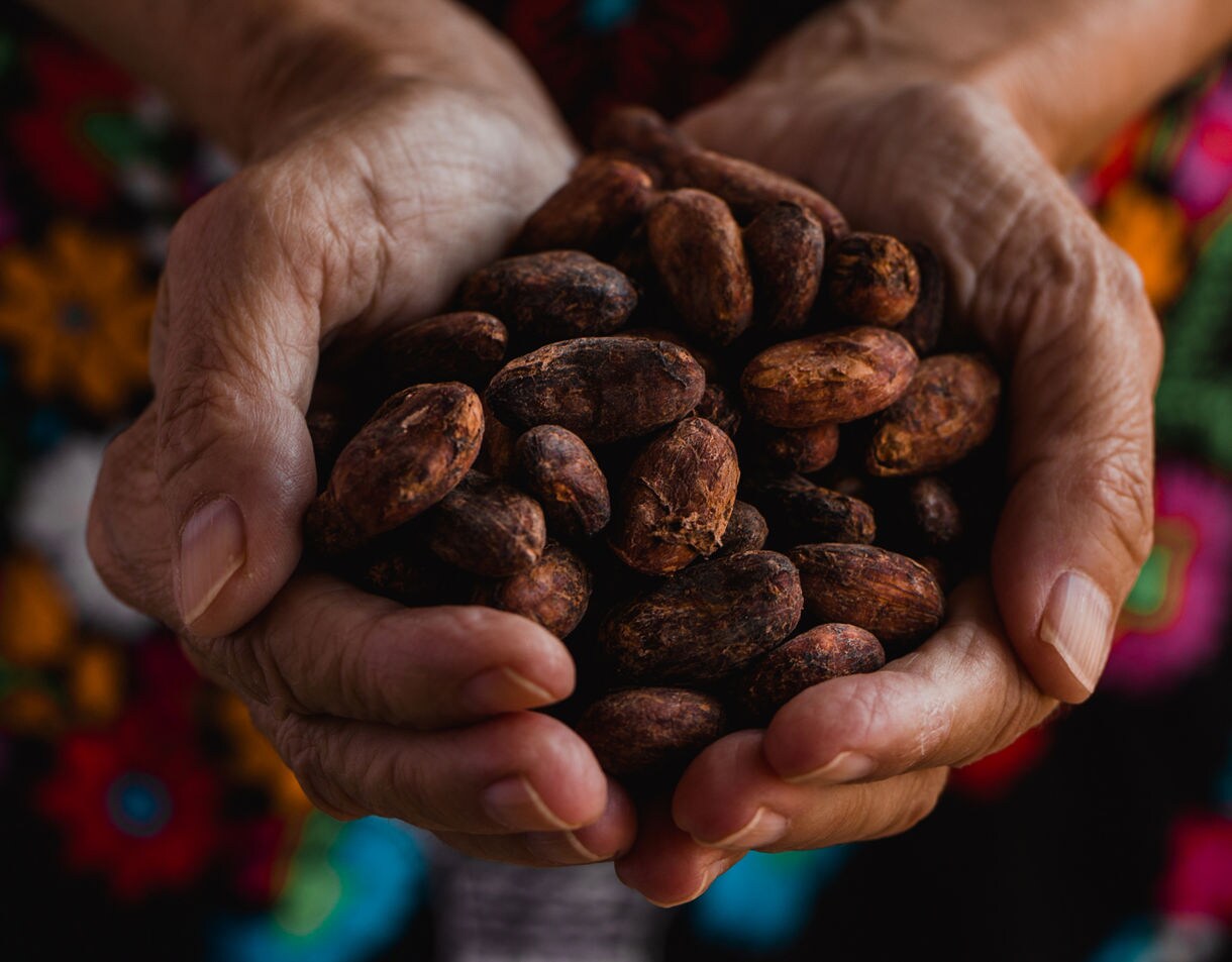 Close-up of weathered hands holding raw cacao beans against a backdrop of colorful traditional Mexican textiles.