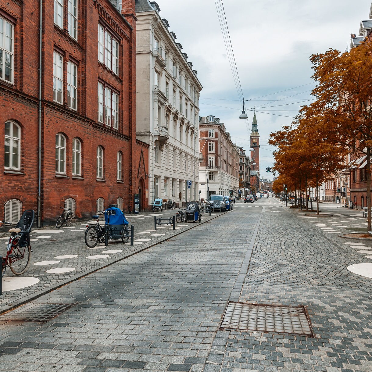 Quiet Copenhagen street with bicycles parked along red-brick buildings and orange-leaved trees.