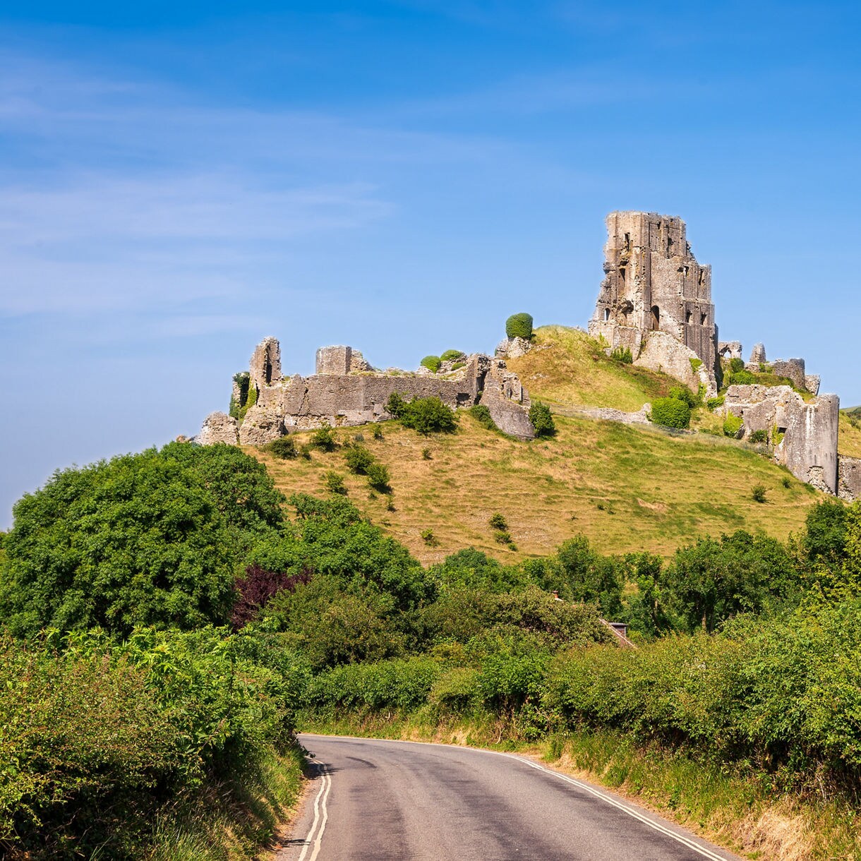 The stone ruins of Corfe Castle perched on a grassy hill in Dorset, surrounded by green hedgerows and rolling hills under a clear blue sky.