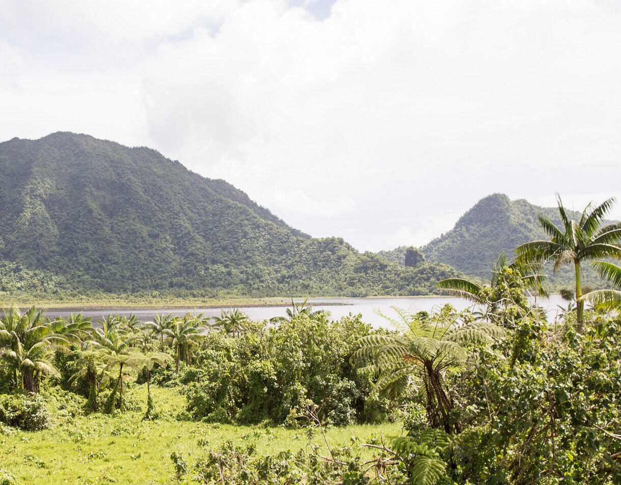 Dense tropical forest with tall palms surrounding a volcanic crater lake at the base of green mountains in Samoa.