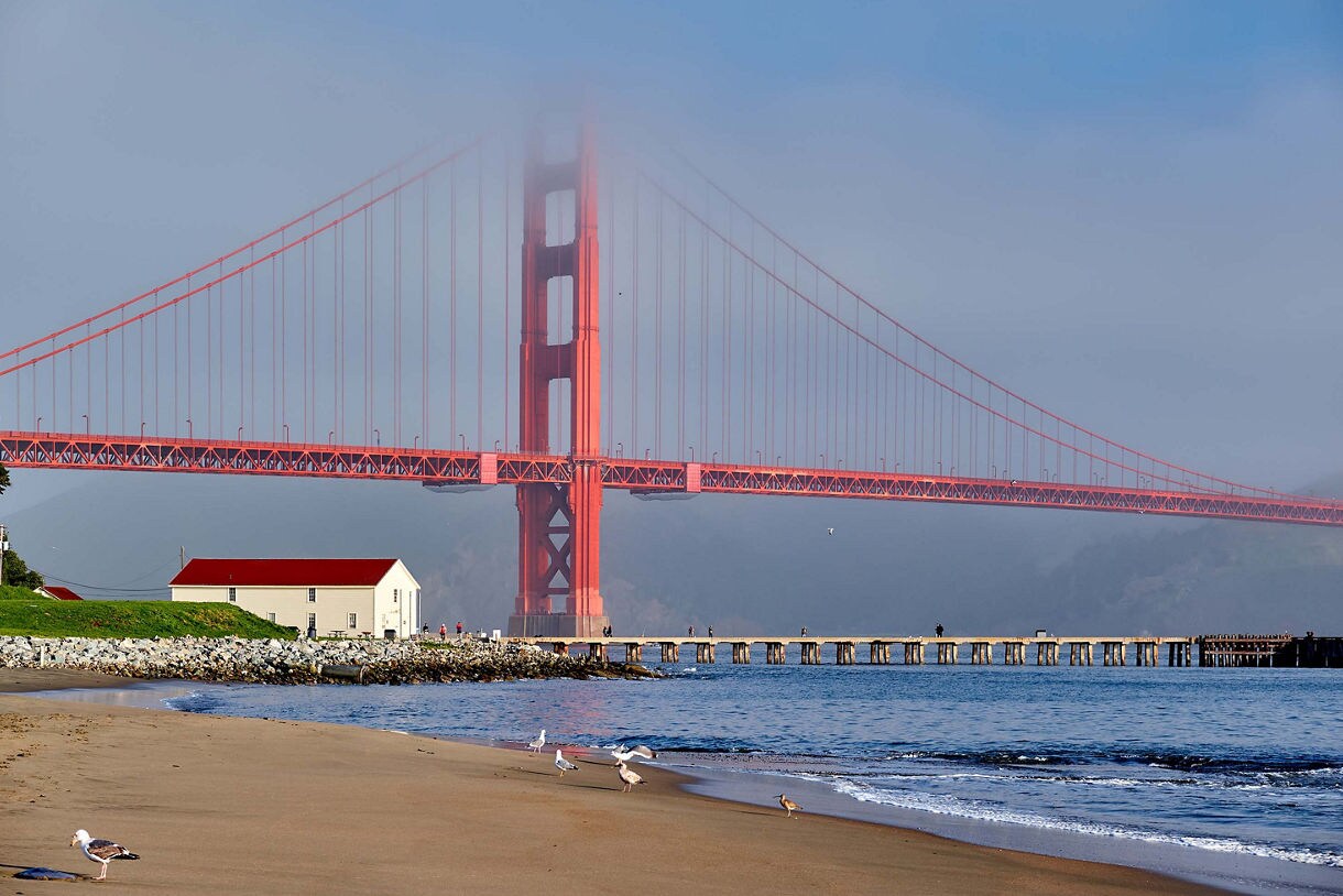 A scenic view of Crissy Field Beach in San Francisco, with seagulls on the sandy shore, a red-roofed building, a wooden pier and the Golden Gate Bridge partially covered in fog in the background.