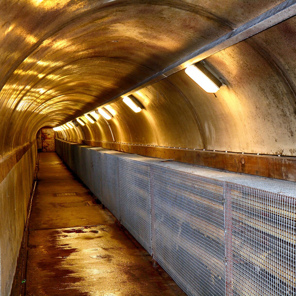 Dimly lit underground tunnel at Crumlin Road Gaol with metal grates, concrete walls and fluorescent lights leading to a rusted door.