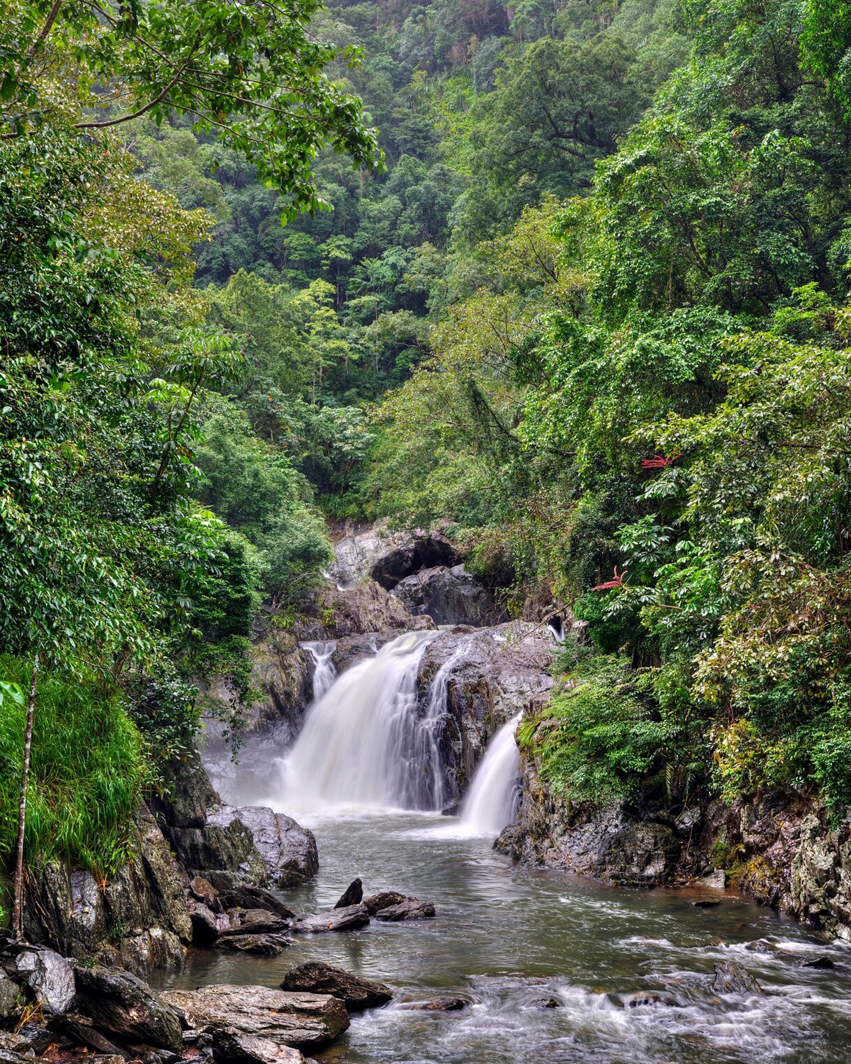 Small waterfall flowing into a rocky rainforest pool surrounded by lush green foliage near Cairns, Australia.