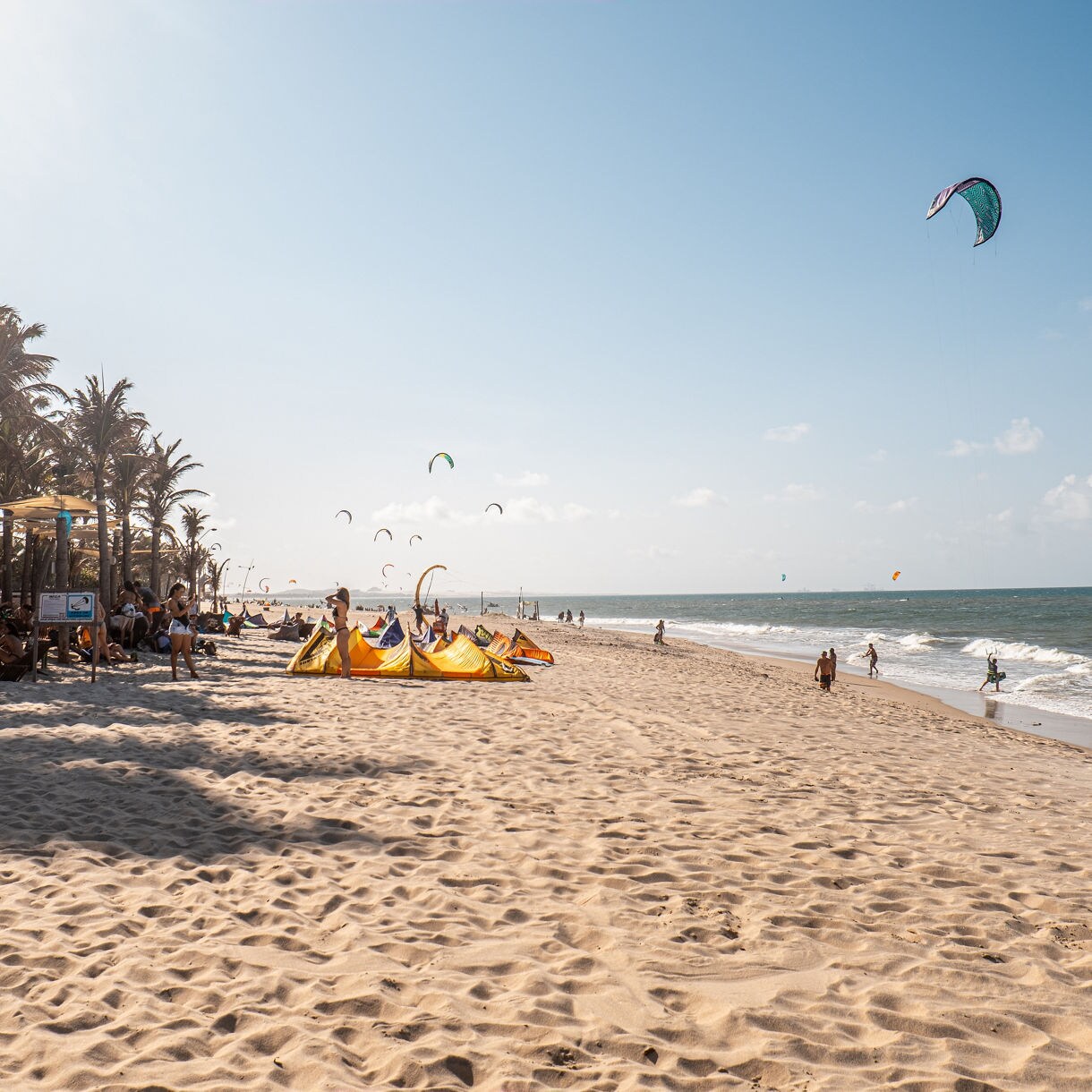 Sandy shoreline at Cumbuco Beach with rows of palm trees, people relaxing under shade and numerous kite surfers launching brightly colored kites over the waves.