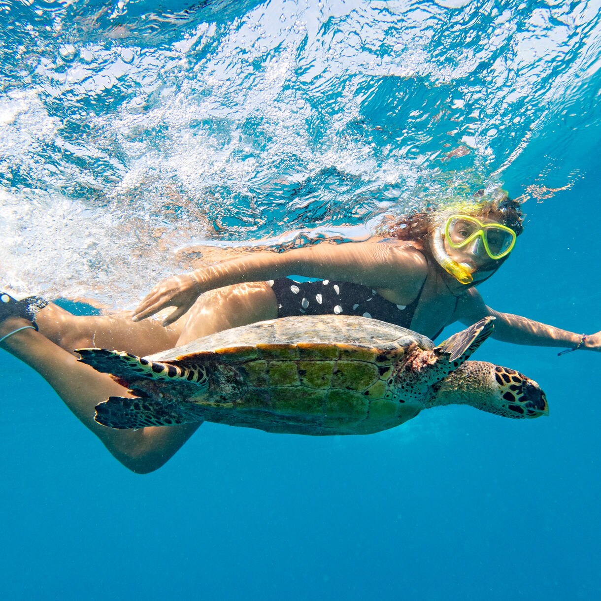 A snorkeler wearing a yellow mask and fins swimming just above a sea turtle in clear blue water in Curaçao.