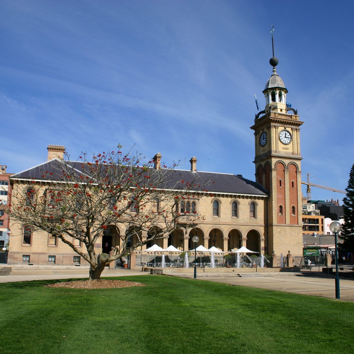 Historic Customs House building in Newcastle with a tall clock tower, arched façade, green lawn and a flowering tree in front, under a clear blue sky.