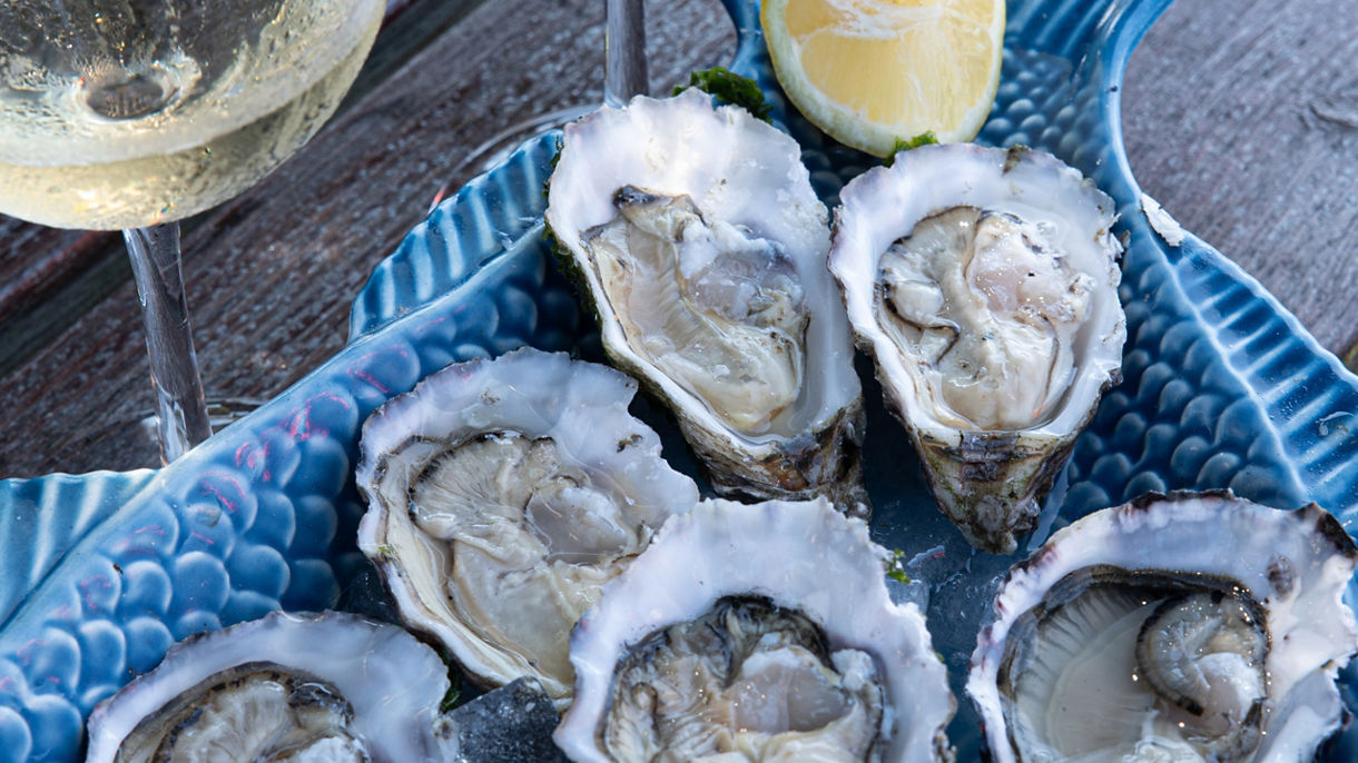 Ston, Trsteno & Oyster Tasting with Wine Pairing