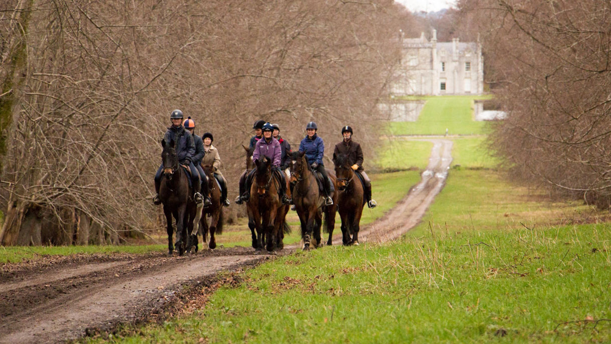 Horseback Riding in the Garden of Ireland