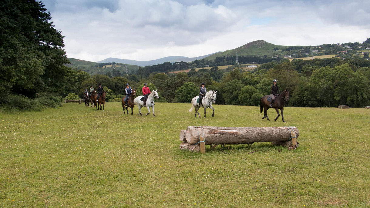 Horseback Riding in the Garden of Ireland