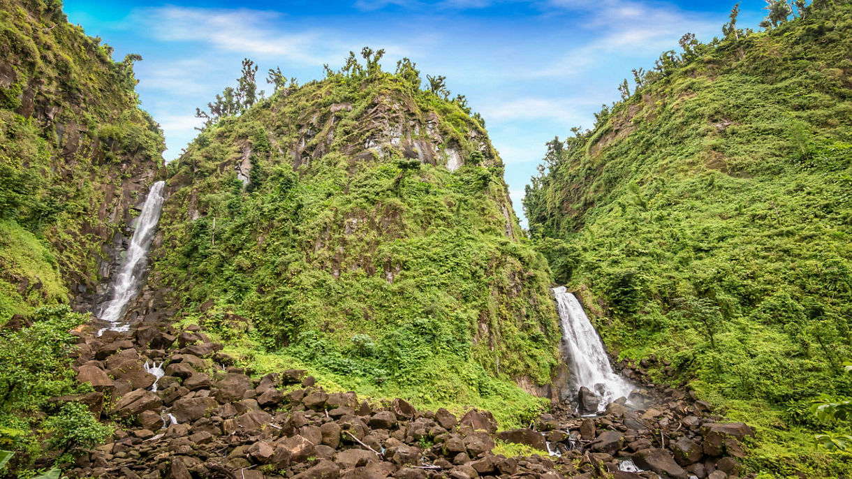 Best of Dominica: Emerald Pool, Trafalgar Falls & Scenic Drive