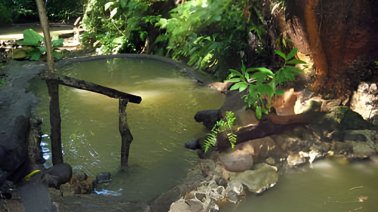 Hot Springs, Botanical Gardens & Scenic Drive