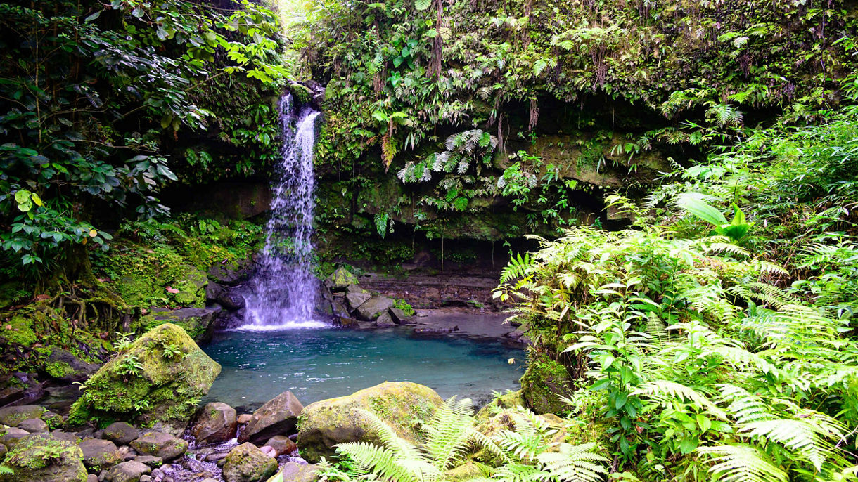 Emerald Pool, Titou Gorge & Champagne Reef Snorkel