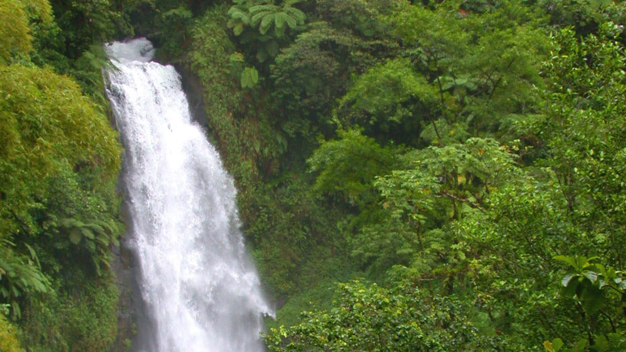 Trafalgar Falls & Champagne Reef Snorkel