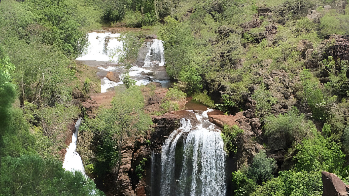 Litchfield National Park: Termite Mounds & Falls