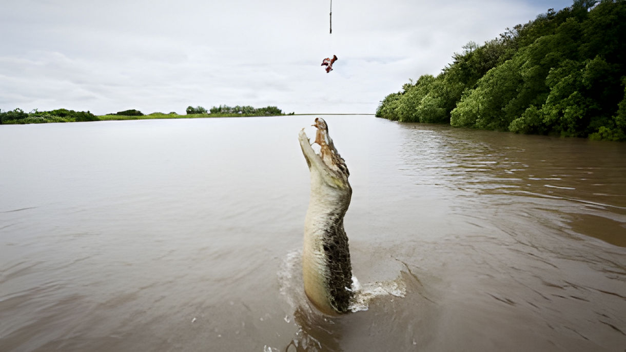 Jumping Crocodiles Cruise