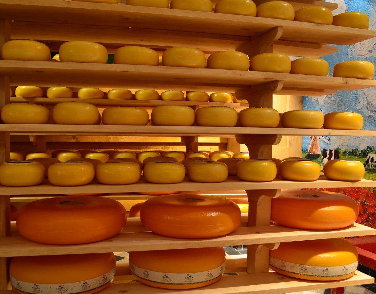 helves stacked with round yellow cheese wheels inside a Dutch dairy shop.