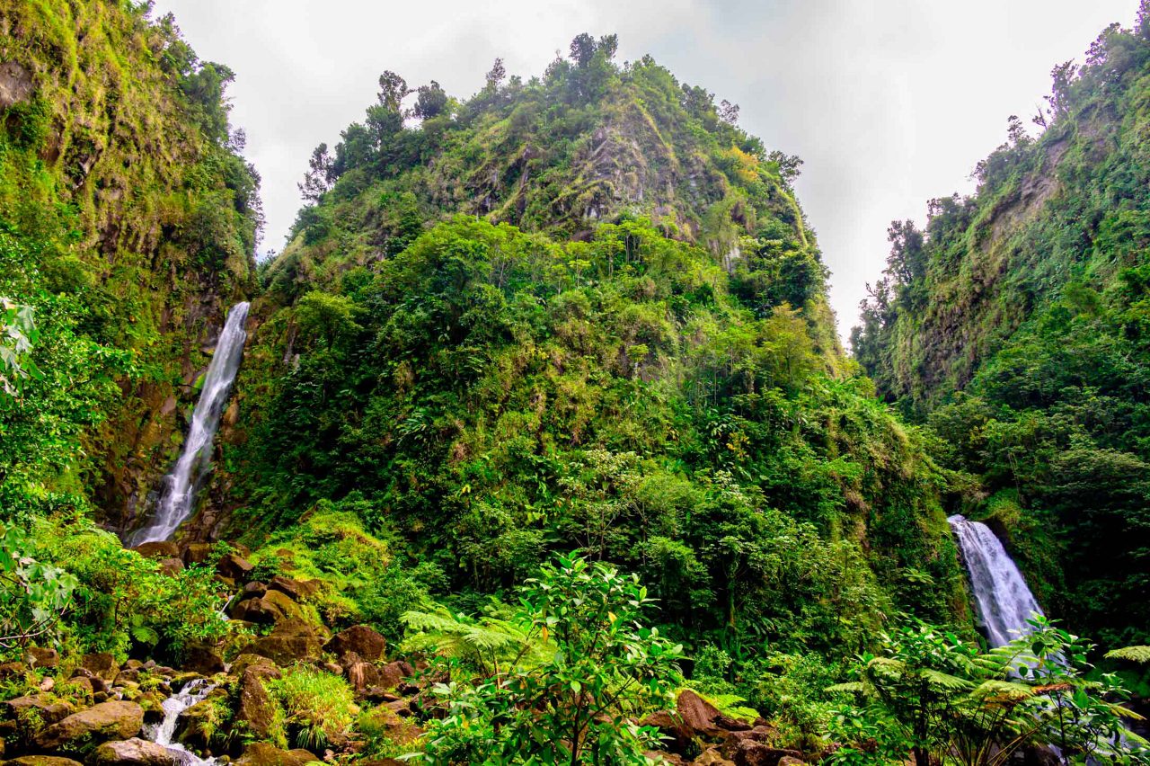 River Tubing & Rainforest Scenic Drive