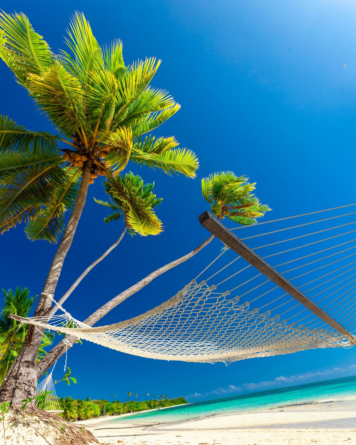 White hammock strung between palm trees on a sandy beach overlooking turquoise water and clear blue sky on Dravuni Island.