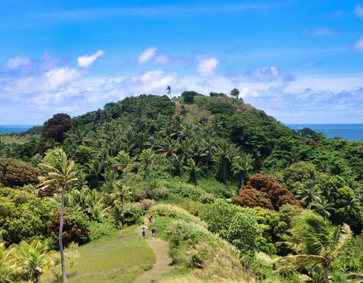 A group of hikers walking up a lush green hill on Dravuni Island with palm trees, dense vegetation and ocean views on both sides.