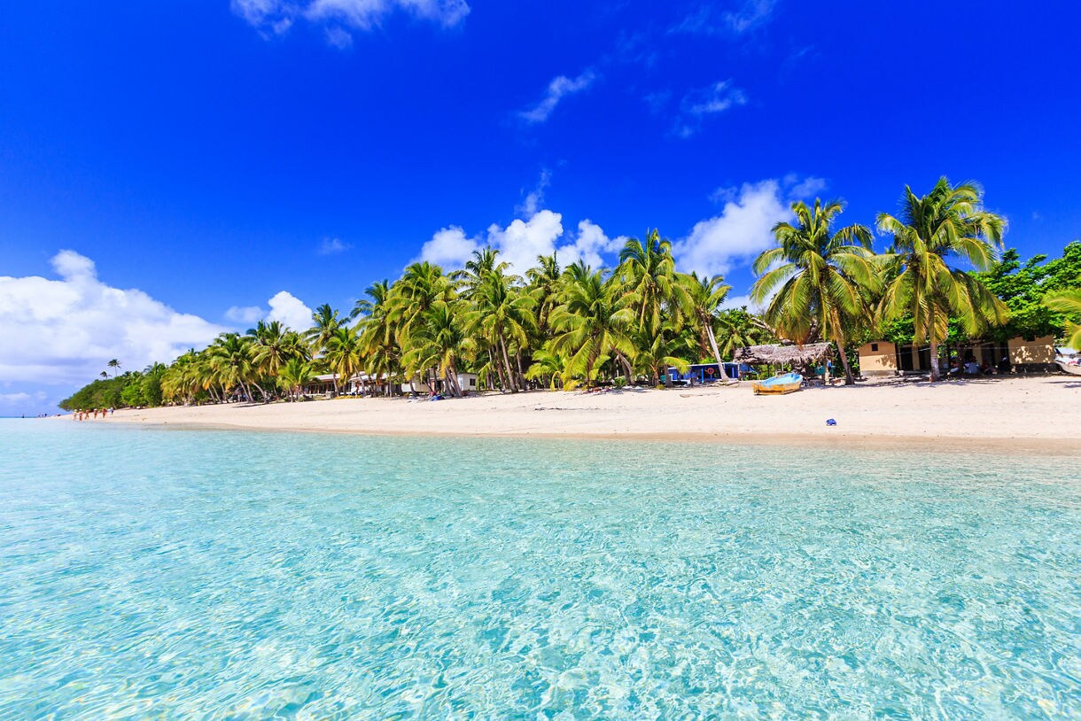 View of Dravuni Island beach lined with palm trees and small huts beside calm, clear turquoise water under a bright blue sky.