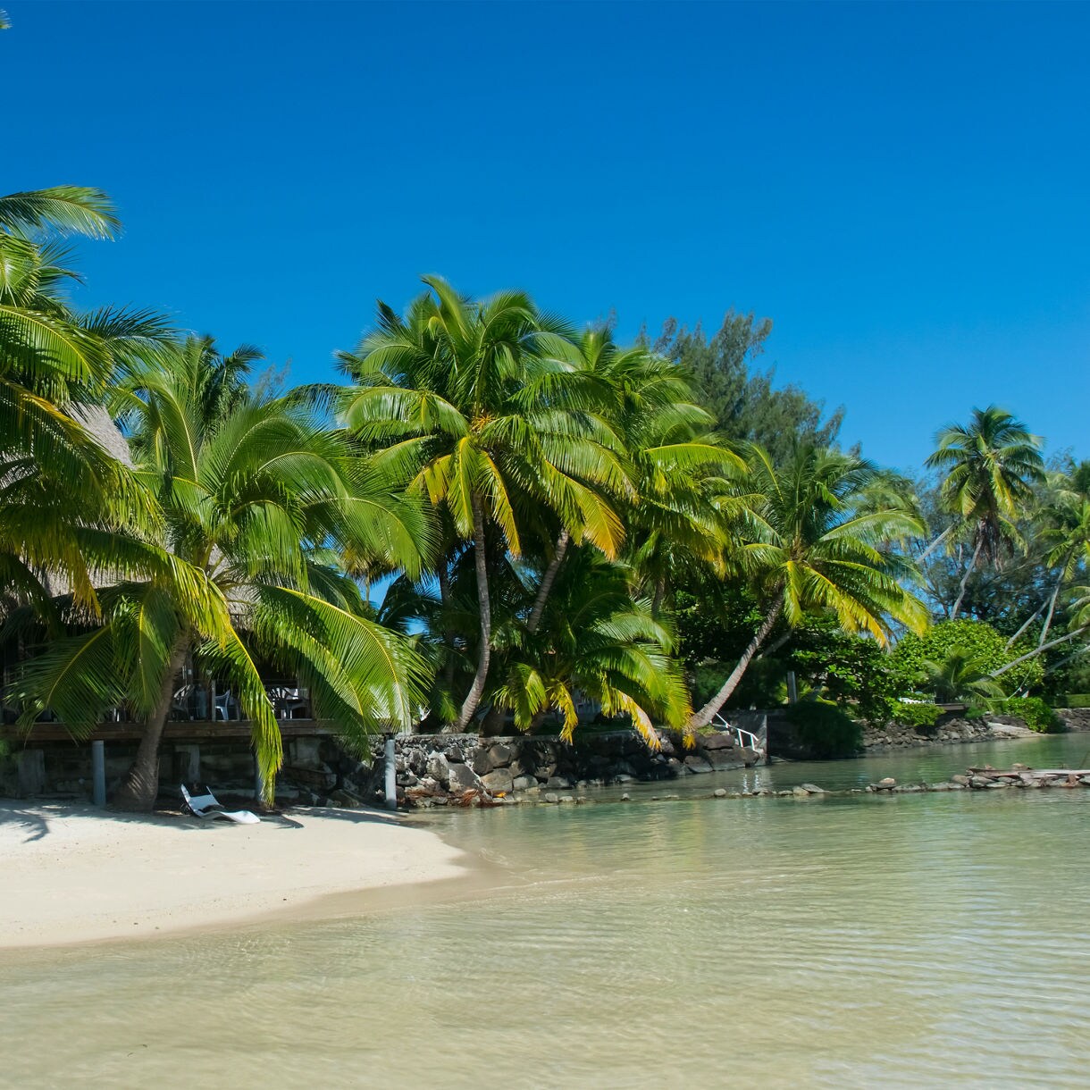 Thatched-roof huts and palm trees lining a quiet sandy beach on Dravuni Island with calm, clear water in the foreground.
