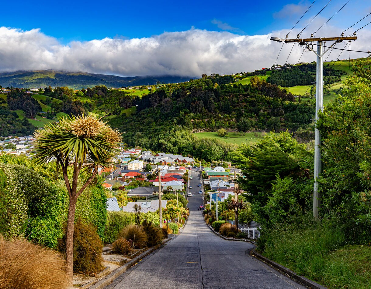 A steep residential street in Dunedin lined with greenery, leading down to colorful houses and rolling green hills under a blue sky.