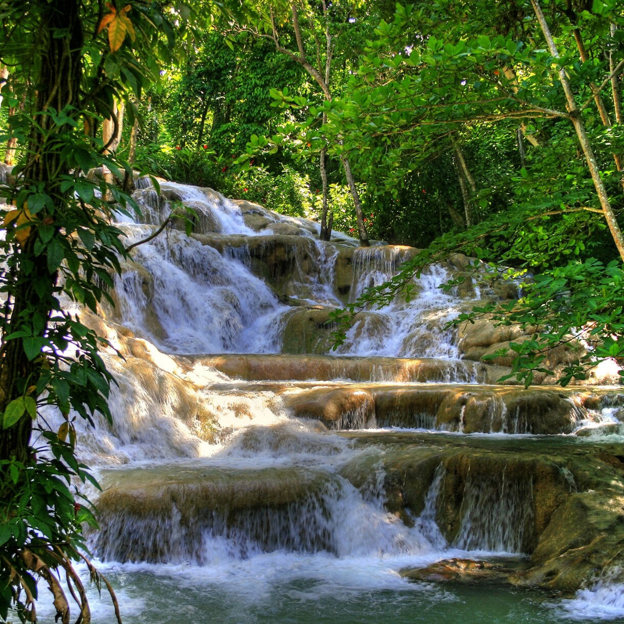 Visitors climbing Dunn’s River Falls in Jamaica, with tiered limestone steps and water cascading through tropical greenery.