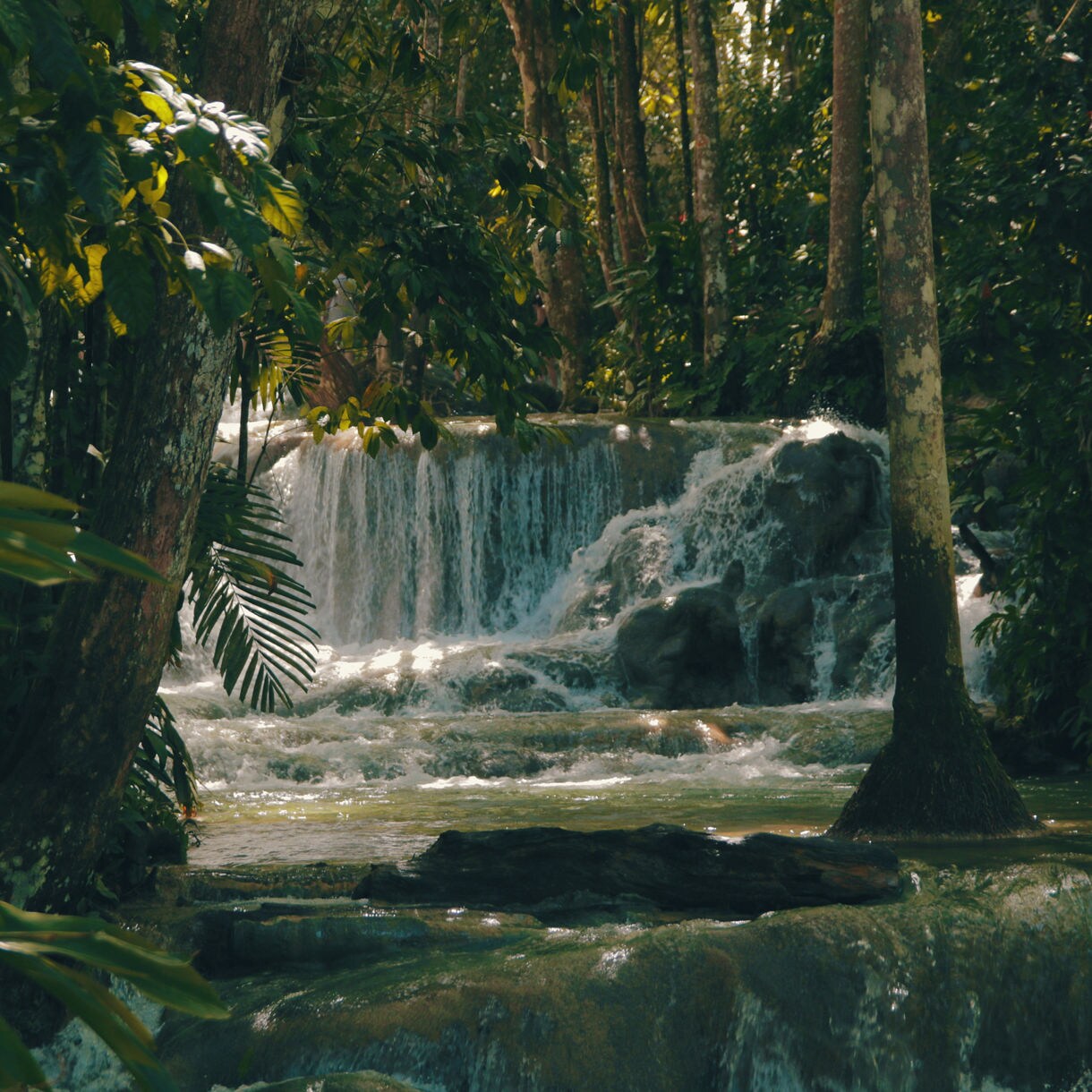 A tiered waterfall flows between rocks and dense tropical trees at Dunn’s River Falls in Jamaica.
