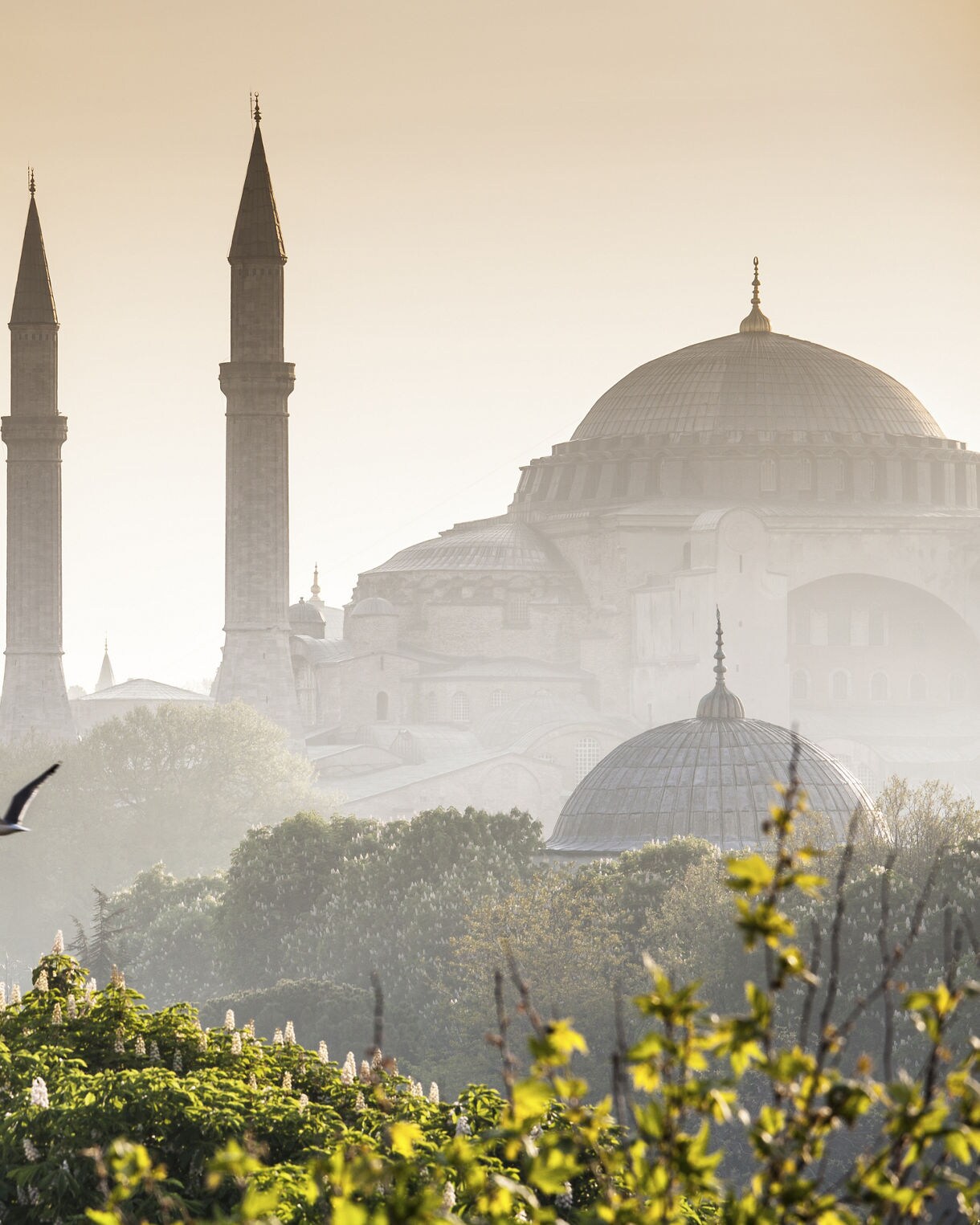 Beautiful Oia village on Santorini island in Greece