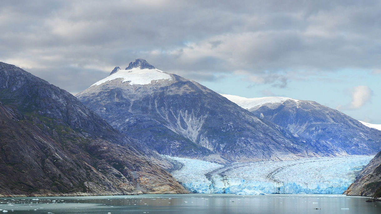 Endicott Arm Fjord & Dawes Glacier Exploration Cruise