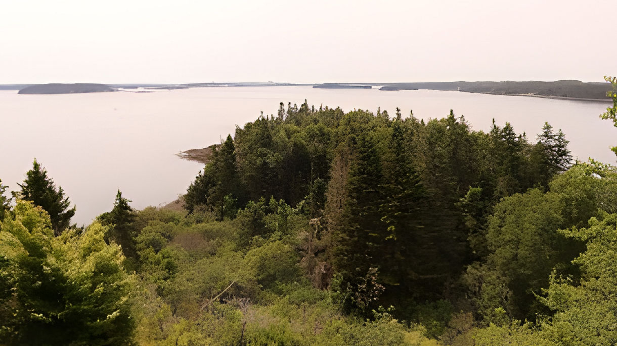 Shakeford Head State Park Hike