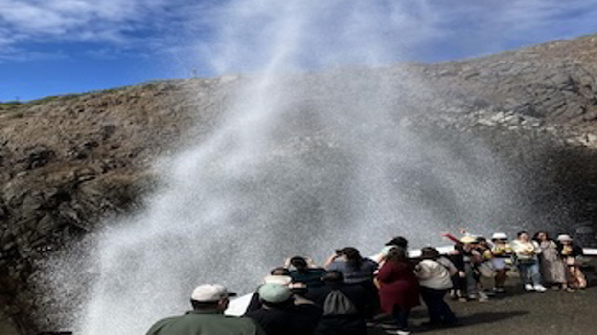 Blow Hole Express