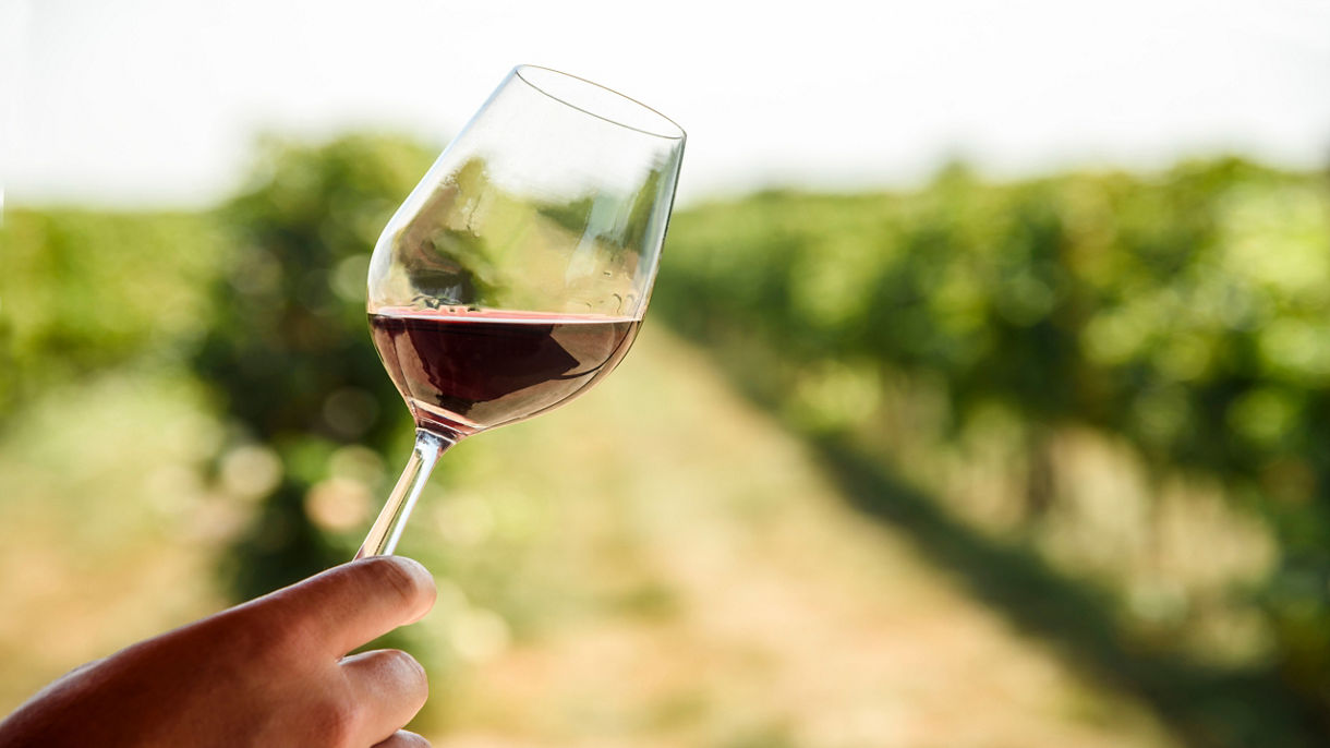 Casa Dona Lupe, L.A. Cetto & Wine Tasting