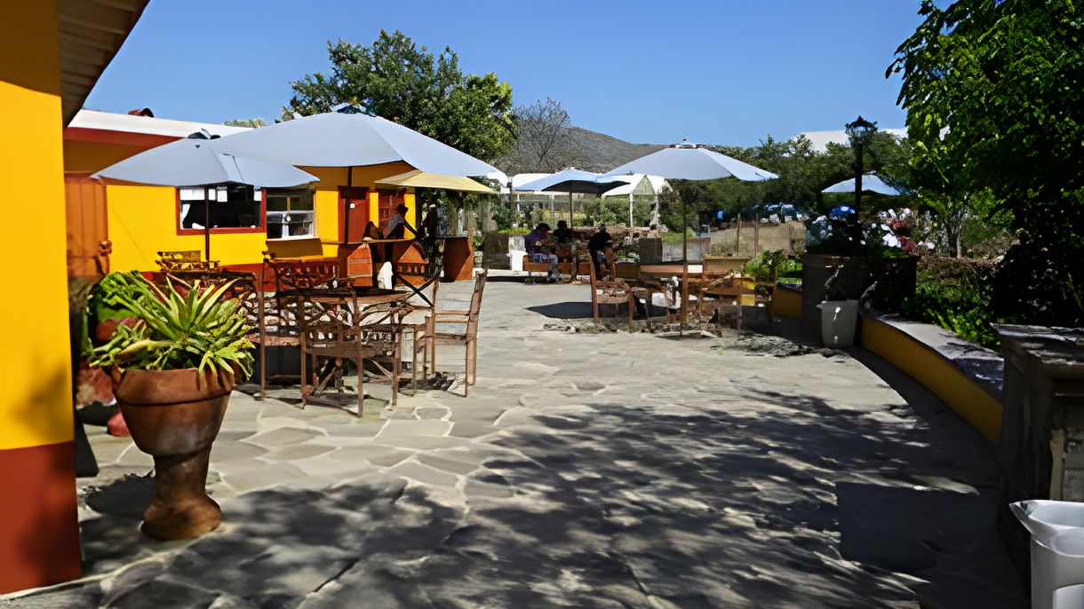 Casa Dona Lupe, L.A. Cetto & Wine Tasting