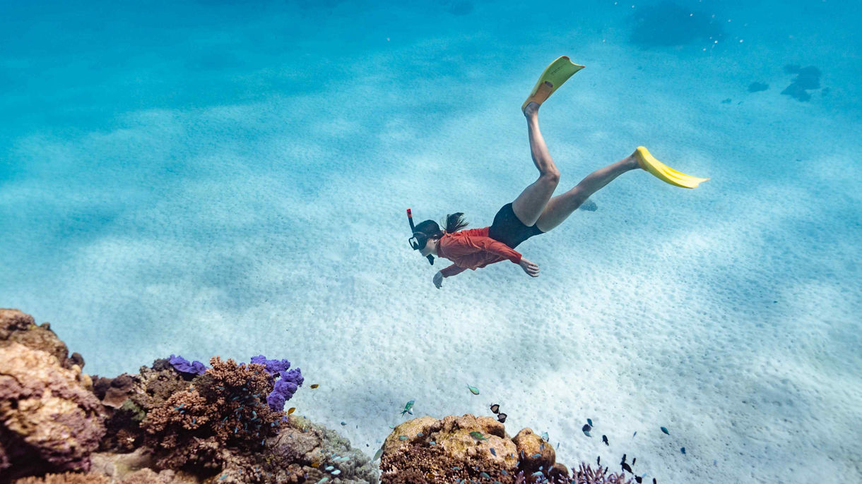 Snorkel Ningaloo Reef