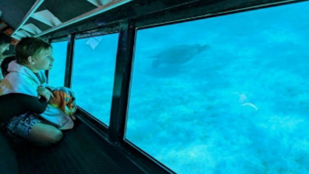 View Ningaloo Semi-Submersible Glass Bottom Boat