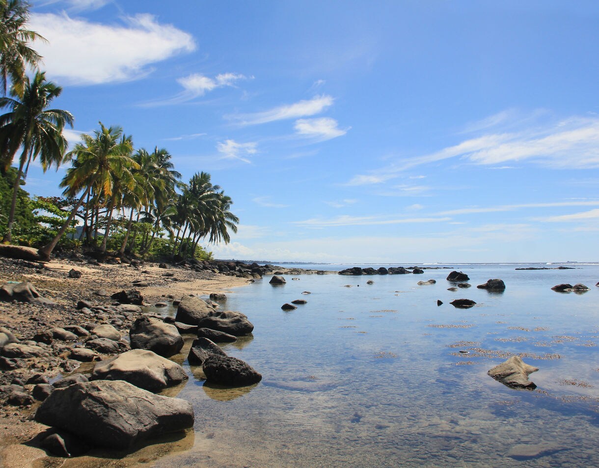 Rocky shoreline lined with palm trees and calm blue waters on Samoa’s east coast.