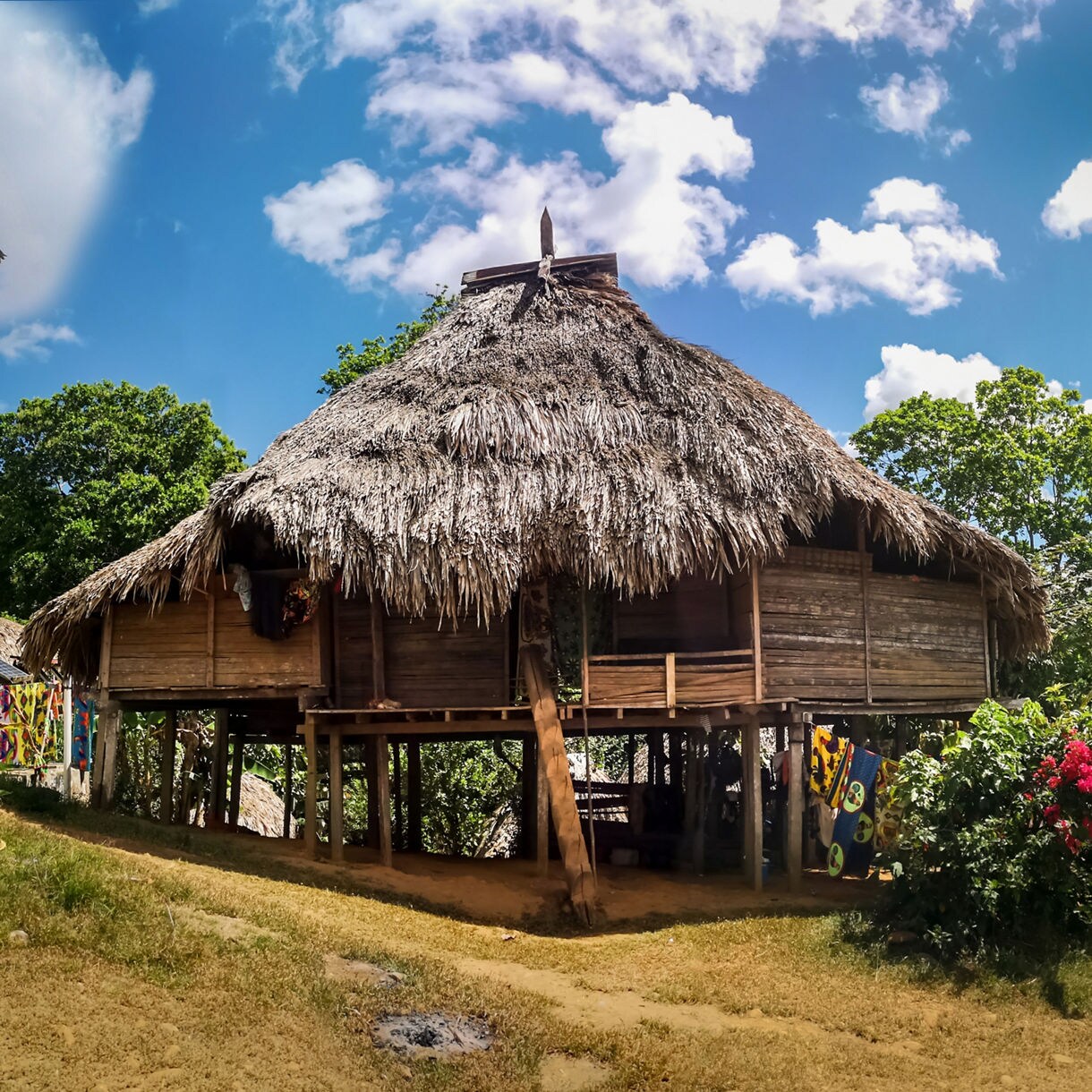 Traditional wooden house on stilts with a thatched roof in an Emberá village, framed by trees, flowers and bright blue sky.
