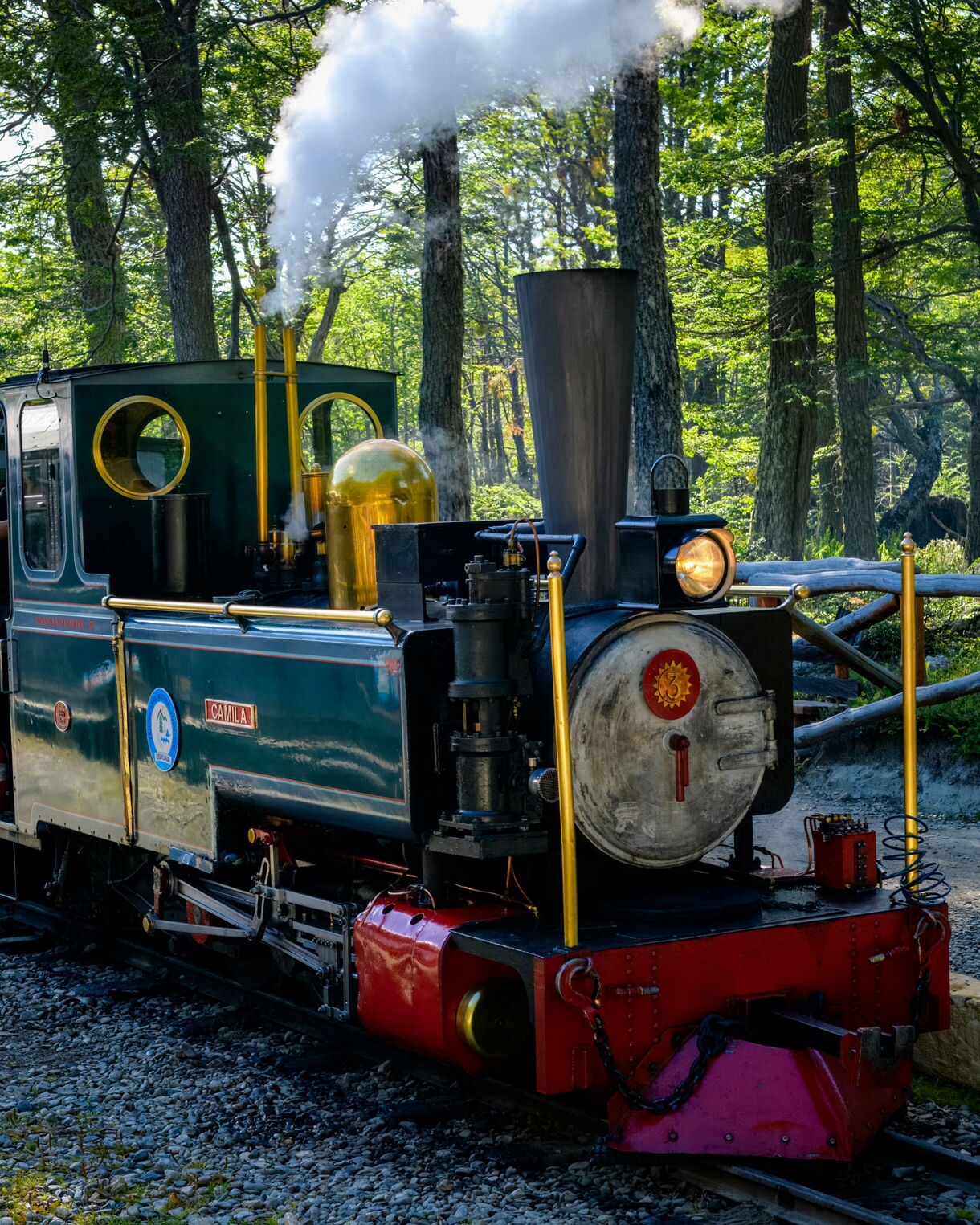 A green steam locomotive pulling matching passenger cars along a forested track, releasing a plume of white steam.
