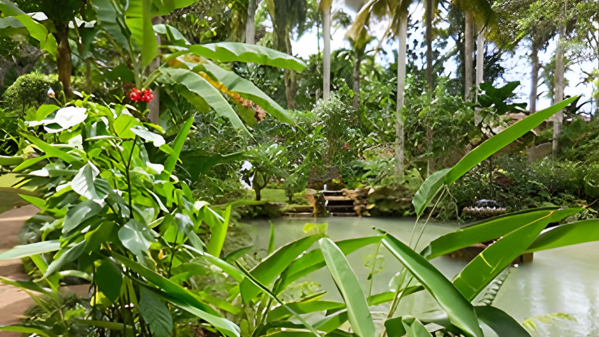 Discover Jamaica