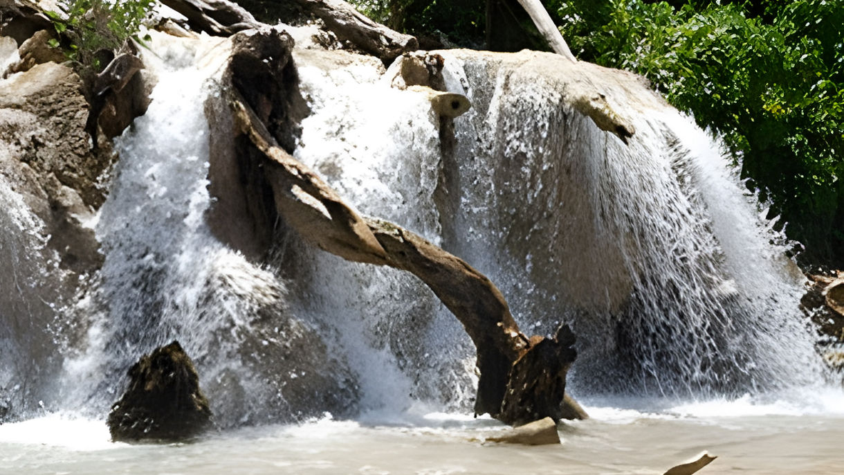 Dunn's River Falls Express