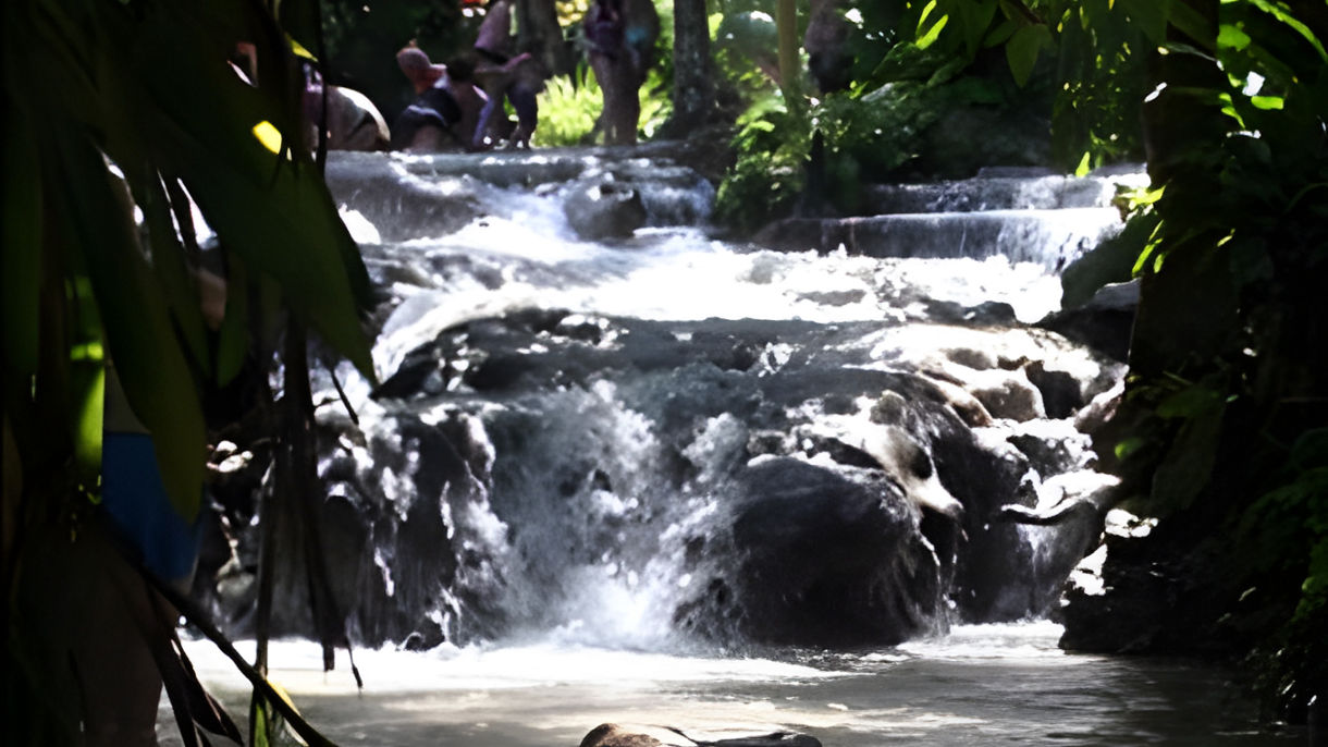 Bamboo Beach Club VIP Experience & Dunn's River Falls