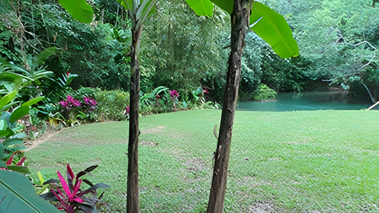 Reggae Hill & Dunn's River Falls