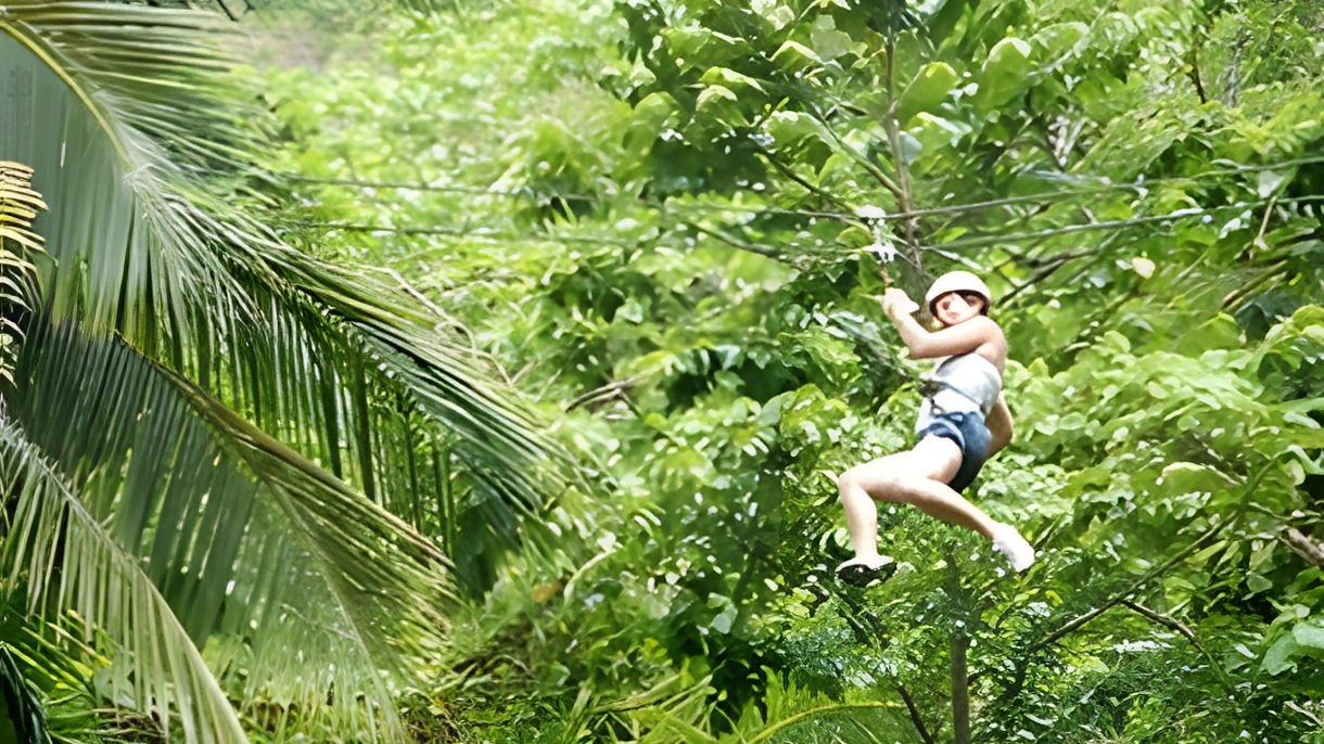 Rainforest Canopy Zipline & Dunn's River Falls