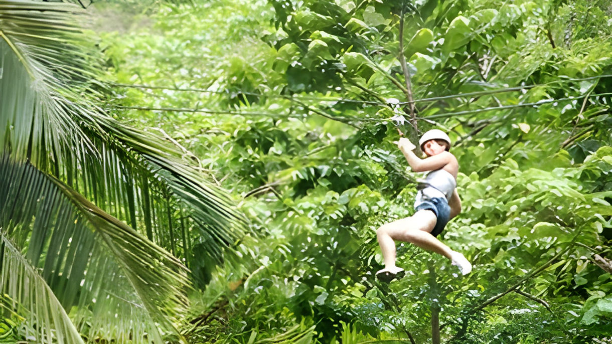 Sky Explorer, Bobsled & Canopy Zipline with Lunch